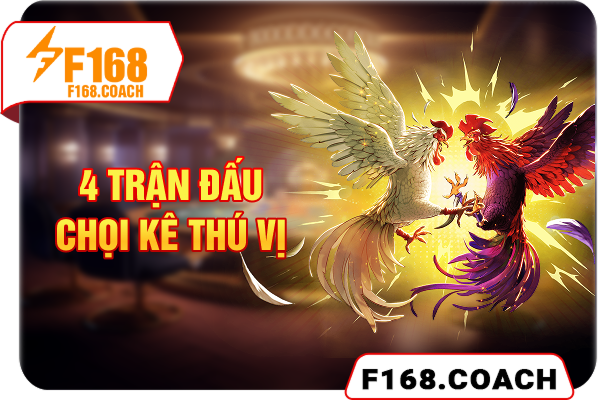 4 trận đấu chọi kê thú vị