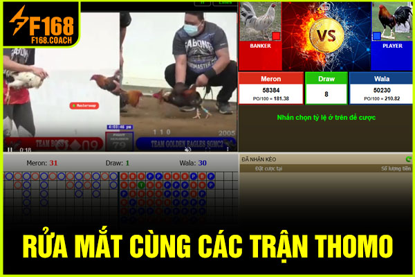 Rửa mắt cùng các trận Thomo Rửa mắt cùng các trận Thomo