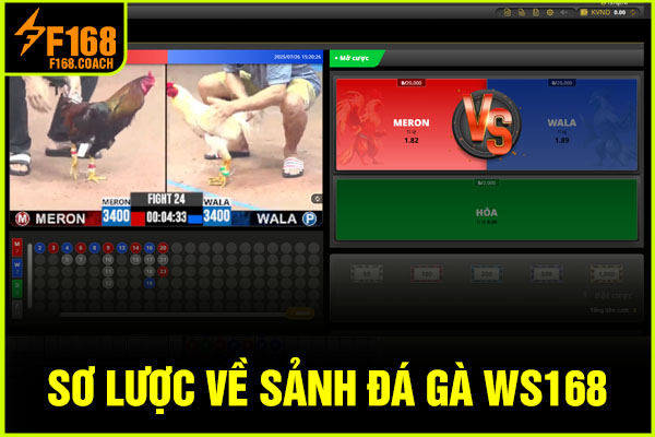 Sơ lược về sảnh đá gà WS168