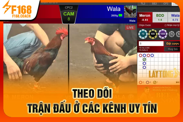 Theo dõi trận đấu ở các kênh uy tín Theo dõi trận đấu ở các kênh uy tín